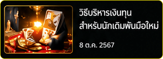 ข่าวสารและบทความ